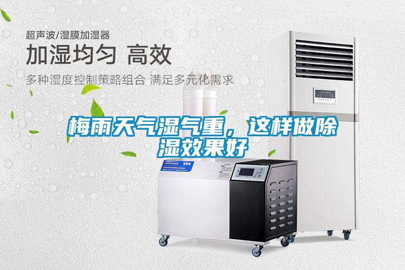 梅雨天氣濕氣重，這樣做除濕效果好