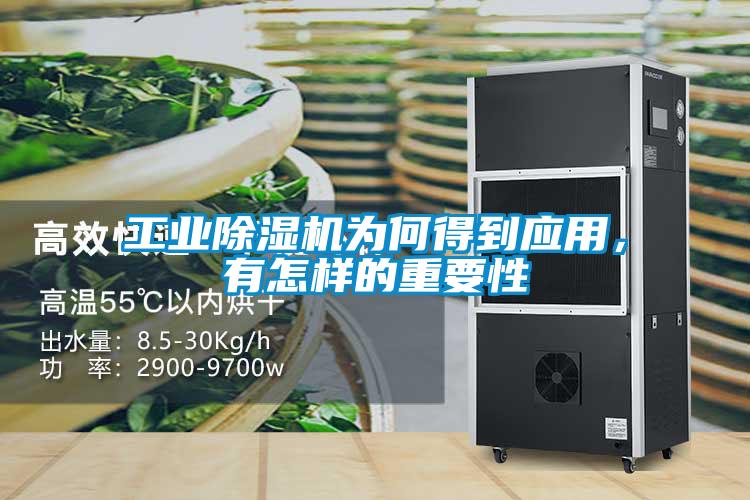 工業(yè)除濕機為何得到應用，有怎樣的重要性
