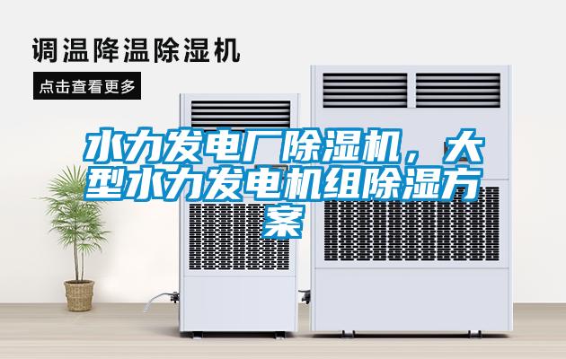 水力發(fā)電廠(chǎng)除濕機，大型水力發(fā)電機組除濕方案
