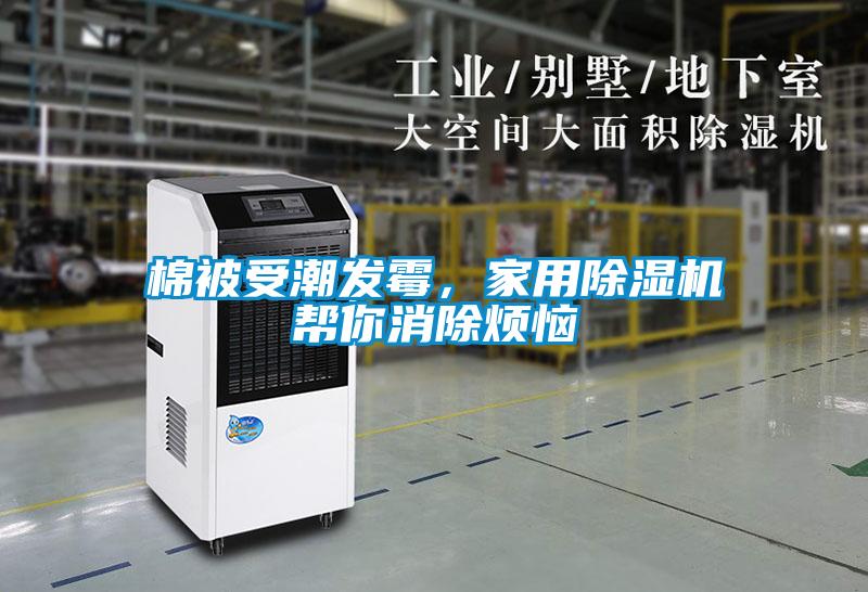 棉被受潮發(fā)霉，家用除濕機幫你消除煩惱