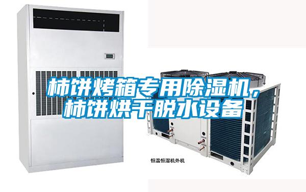 柿餅烤箱專(zhuān)用除濕機，柿餅烘干脫水設備