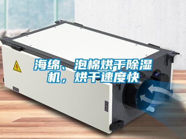 海綿、泡棉烘干除濕機，烘干速度快