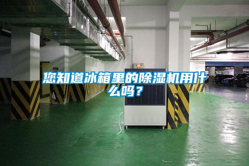 您知道冰箱里的除濕機用什么嗎？