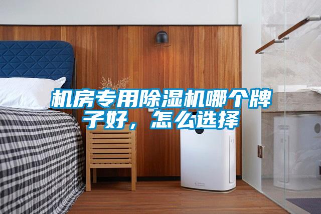 機房專(zhuān)用除濕機哪個(gè)牌子好，怎么選擇