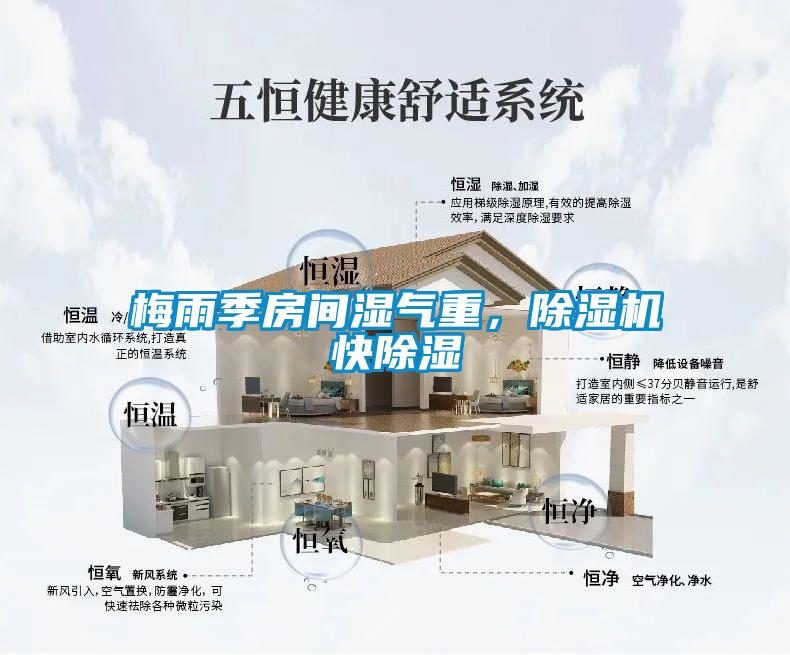 梅雨季房間濕氣重，除濕機快除濕