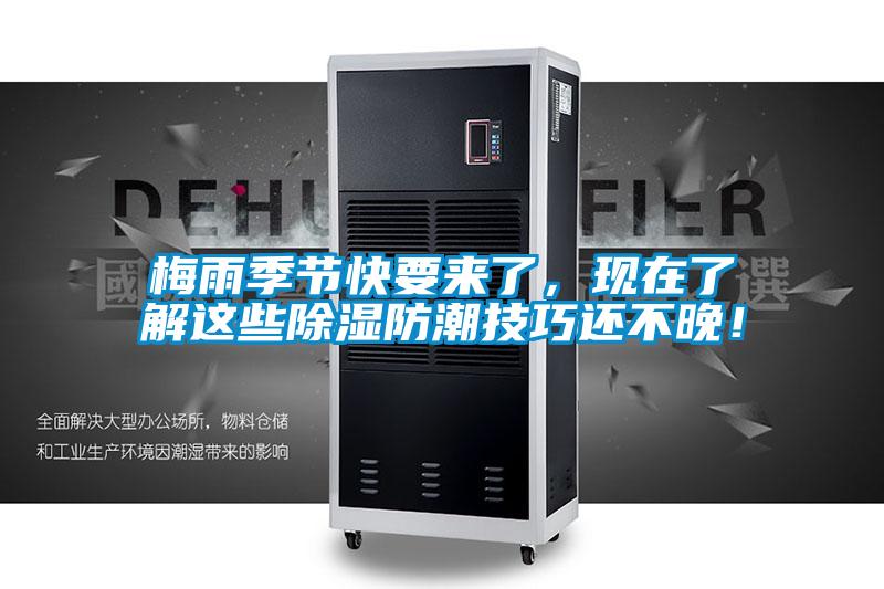 梅雨季節快要來(lái)了，現在了解這些除濕防潮技巧還不晚！
