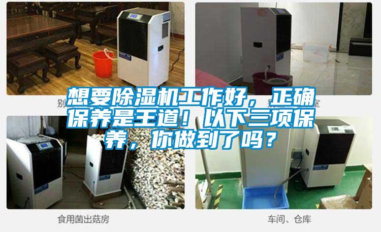 想要除濕機工作好,正確保養是王道!以下三項保養,你做到了嗎?