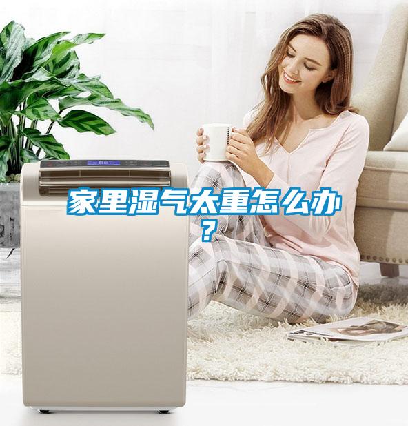 家里濕氣太重怎么辦？