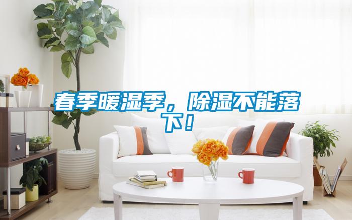 春季暖濕季，除濕不能落下！