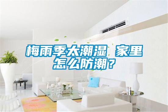 梅雨季太潮濕 家里怎么防潮？