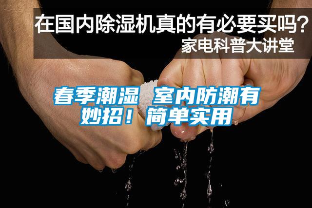 春季潮濕 室內防潮有妙招！簡(jiǎn)單實(shí)用