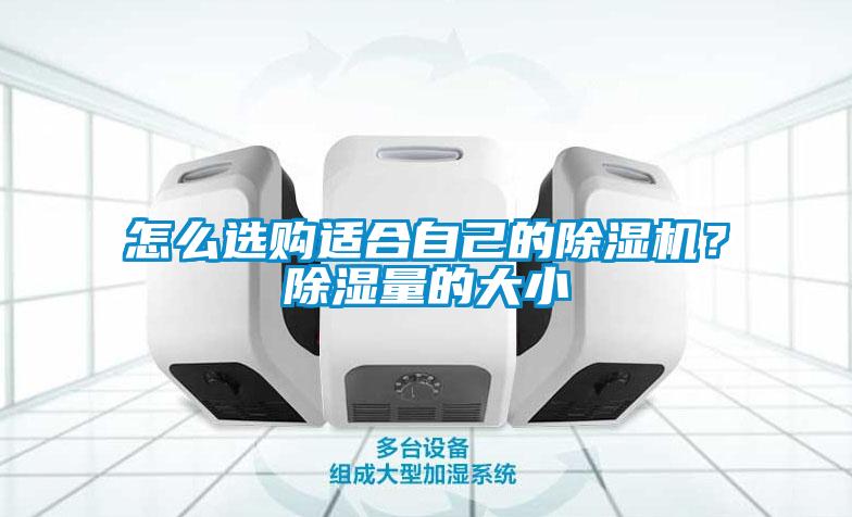 怎么選購適合自己的除濕機？除濕量的大小