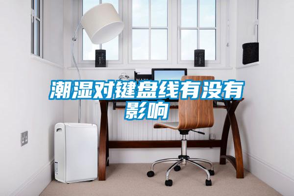 潮濕對鍵盤(pán)線(xiàn)有沒(méi)有影響