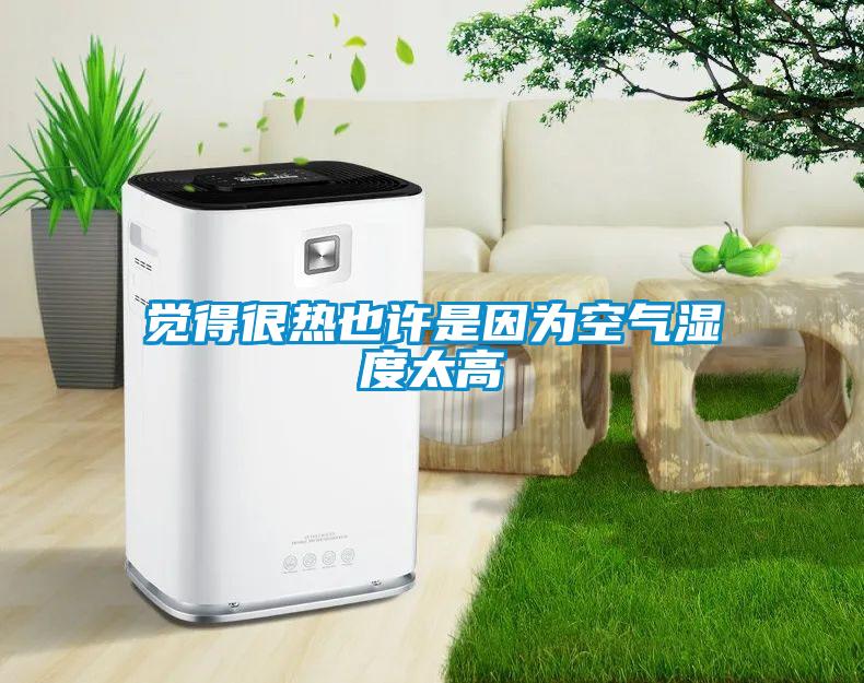 覺(jué)得很熱也許是因為空氣濕度太高
