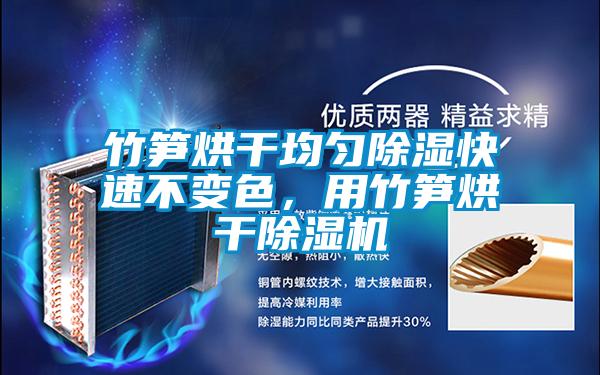竹筍烘干均勻除濕快速不變色，用竹筍烘干除濕機