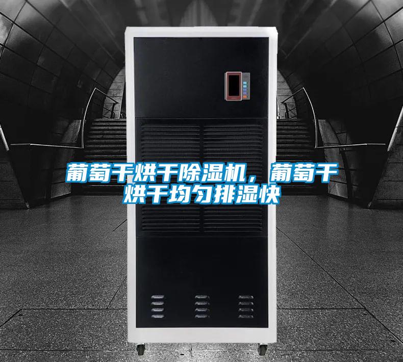 葡萄干烘干除濕機，葡萄干烘干均勻排濕快