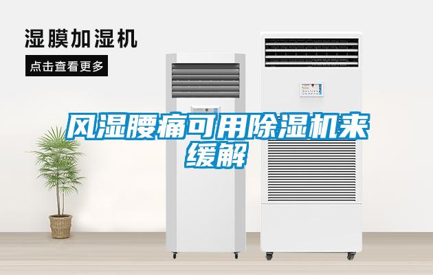風(fēng)濕腰痛可用除濕機來(lái)緩解