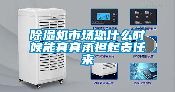除濕機市場(chǎng)您什么時(shí)候能真真承擔起責任來(lái)