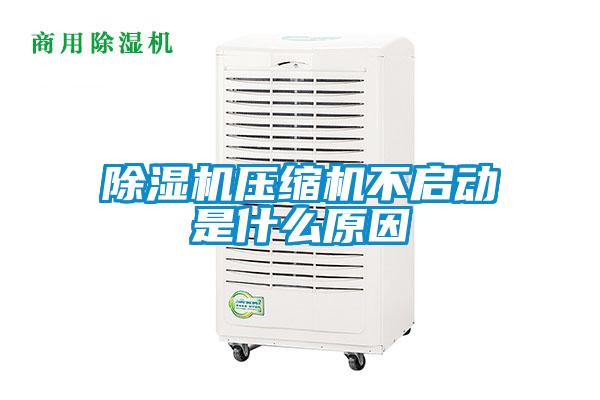 除濕機壓縮機不啟動(dòng)是什么原因