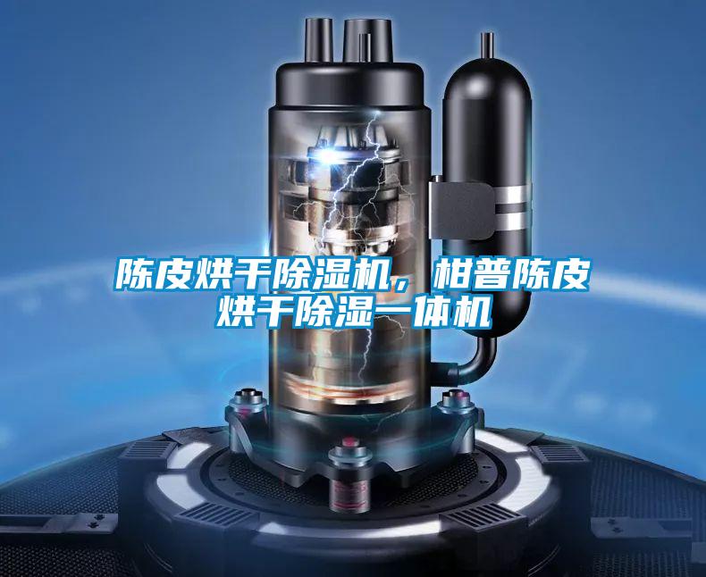 陳皮烘干除濕機，柑普陳皮烘干除濕一體機