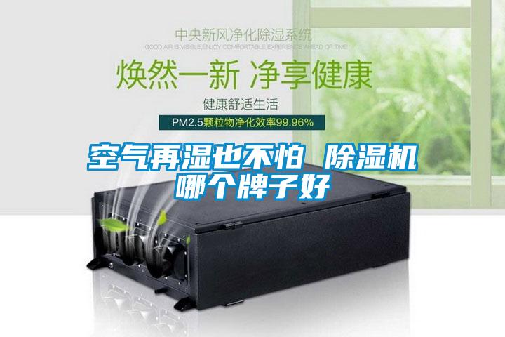 空氣再濕也不怕 除濕機哪個(gè)牌子好