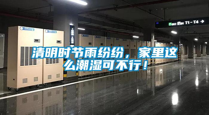 清明時(shí)節雨紛紛，家里這么潮濕可不行！
