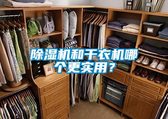 除濕機和干衣機哪個(gè)更實(shí)用？