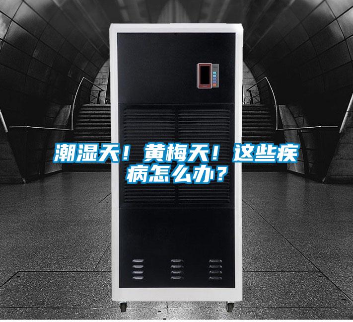潮濕天！黃梅天！這些疾病怎么辦？