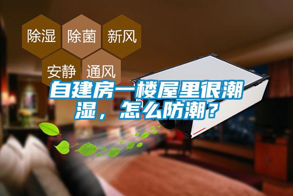 自建房一樓屋里很潮濕，怎么防潮？