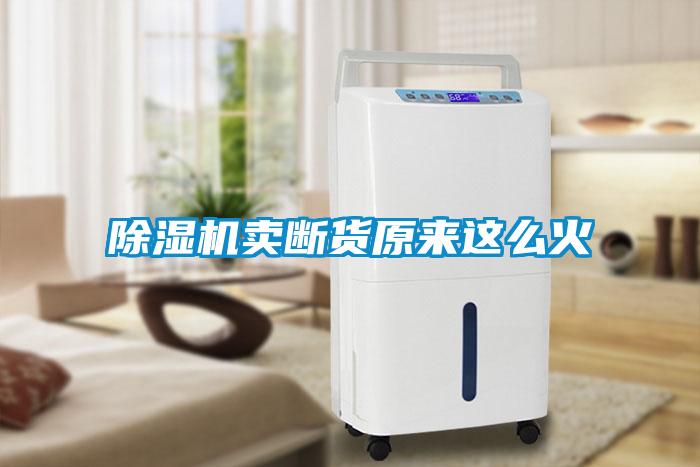 除濕機賣(mài)斷貨原來(lái)這么火
