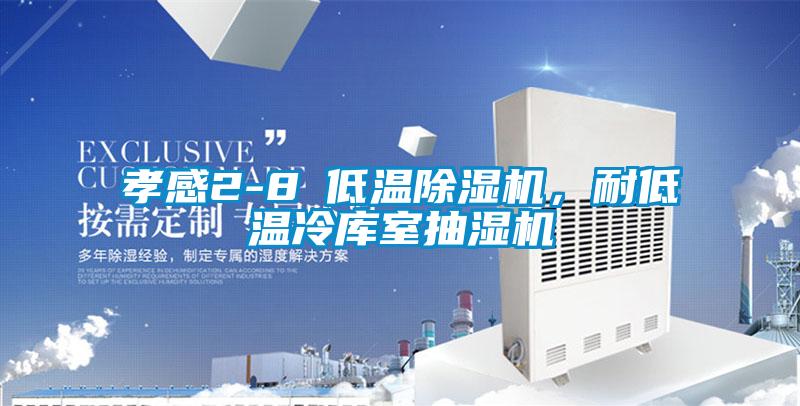孝感2-8℃低溫除濕機，耐低溫冷庫室抽濕機