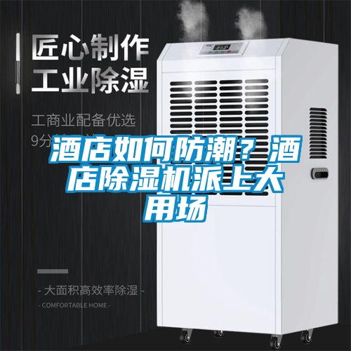 酒店如何防潮？酒店除濕機派上大用場(chǎng)