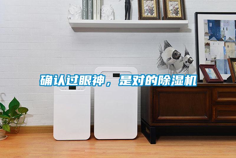確認過(guò)眼神，是對的除濕機