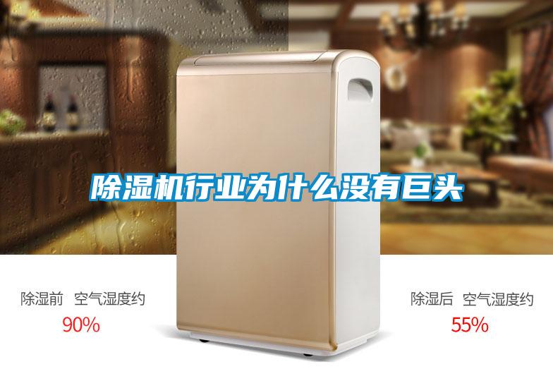 除濕機行業(yè)為什么沒(méi)有巨頭