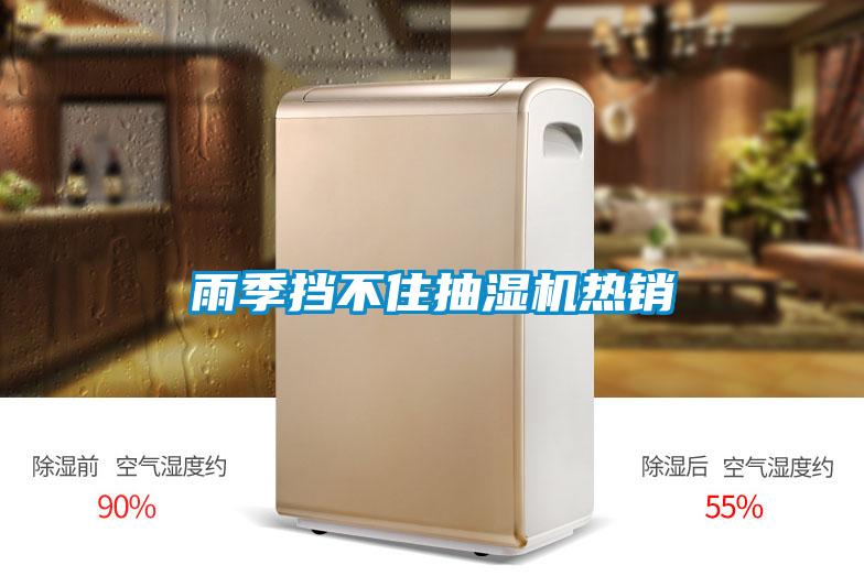 雨季擋不住抽濕機熱銷(xiāo)