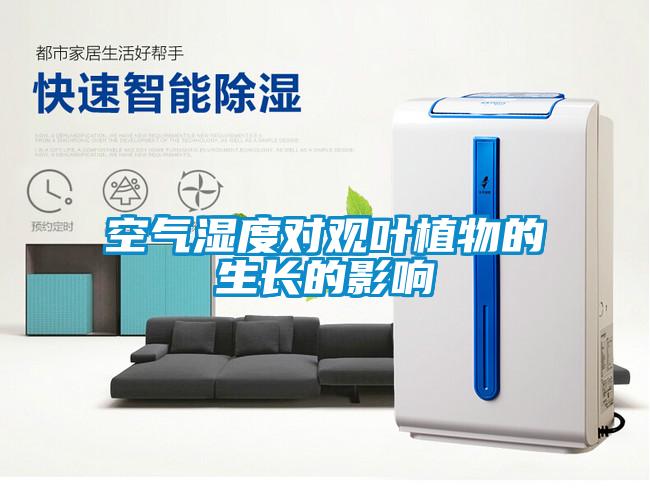 空氣濕度對觀(guān)葉植物的生長(cháng)的影響