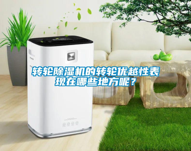 轉輪除濕機的轉輪優(yōu)越性表現在哪些地方呢？