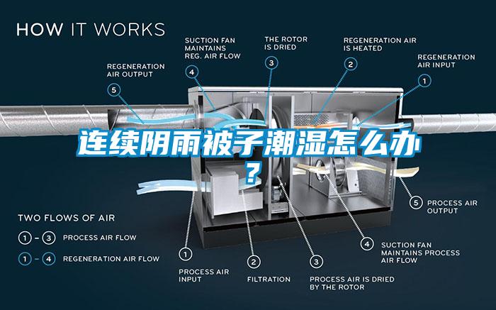 連續陰雨被子潮濕怎么辦？