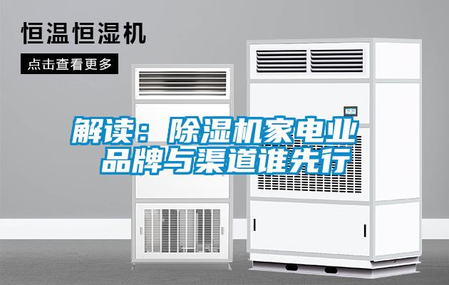 解讀：除濕機家電業(yè) 品牌與渠道誰(shuí)先行