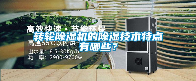 轉輪除濕機的除濕技術(shù)特點(diǎn)有哪些？