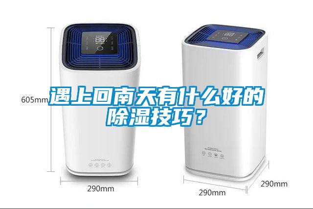 遇上回南天有什么好的除濕技巧？