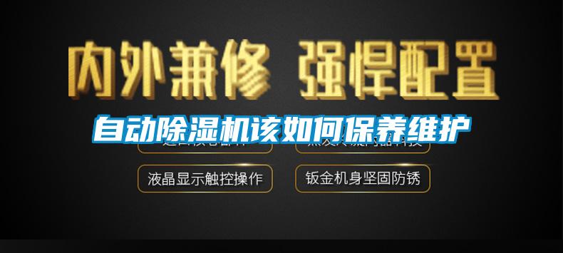 自動(dòng)除濕機該如何保養維護