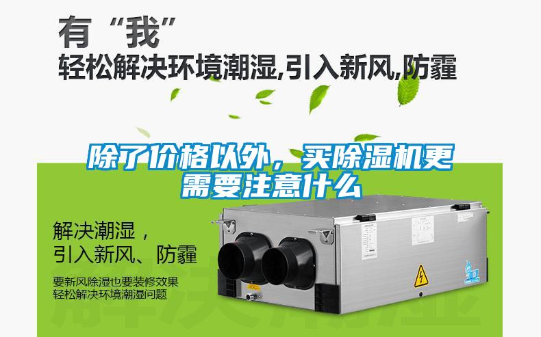 除了價(jià)格以外，買(mǎi)除濕機更需要注意什么