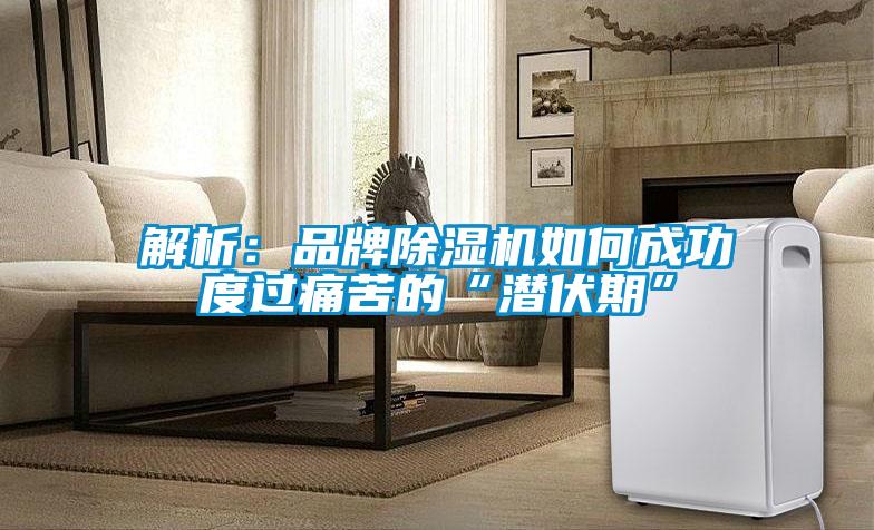 解析：品牌除濕機如何成功度過(guò)痛苦的“潛伏期”