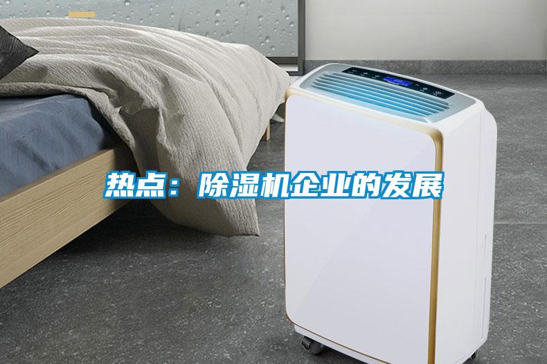 熱點(diǎn)：除濕機企業(yè)的發(fā)展