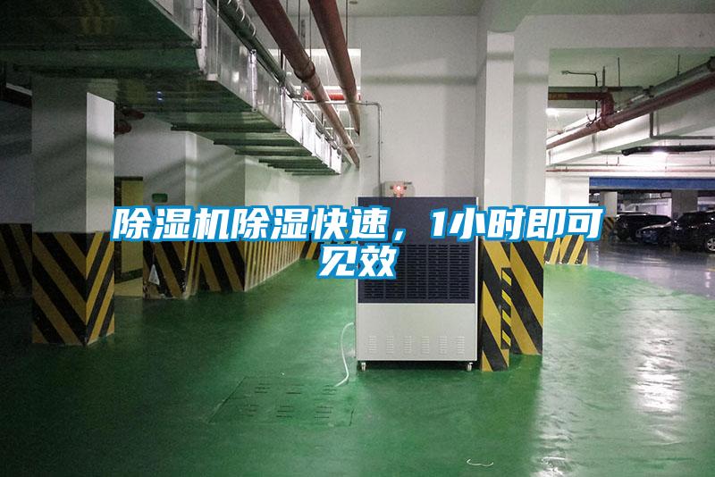除濕機除濕快速，1小時(shí)即可見(jiàn)效