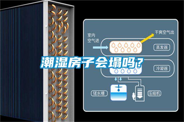 潮濕房子會(huì )塌嗎？