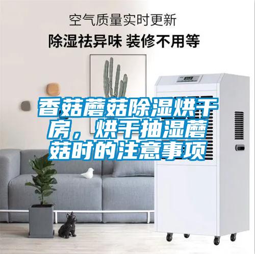香菇蘑菇除濕烘干房，烘干抽濕蘑菇時(shí)的注意事項