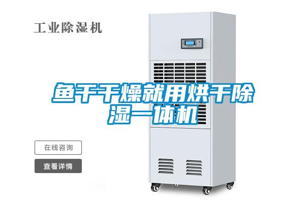 魚(yú)干干燥就用烘干除濕一體機