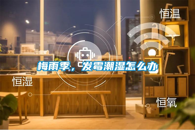 梅雨季，發(fā)霉潮濕怎么辦